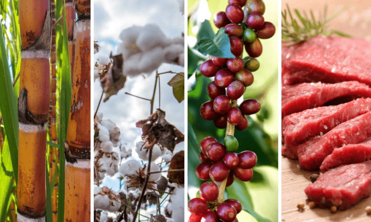 Exportações do agronegócio batem novo recorde para os meses de fevereiro e atingem US$ 11,63 bilhões