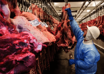 China habilita 38 frigoríficos brasileiros para exportar carne