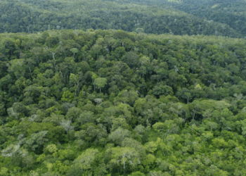 Prazo para preenchimento do Questionário do ICMS Ecológico do Tocantins encerra nesta sexta-feira, 15