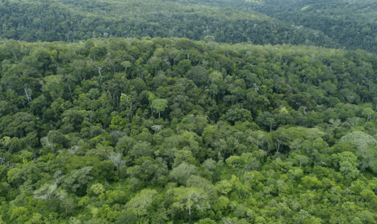Prazo para preenchimento do Questionário do ICMS Ecológico do Tocantins encerra nesta sexta-feira, 15