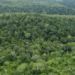 Prazo para preenchimento do Questionário do ICMS Ecológico do Tocantins encerra nesta sexta-feira, 15