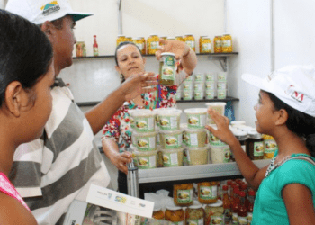 Tocantins promove exposição de produtos do Cerrado na Agrotins 2024