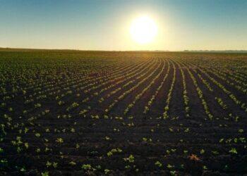 Agricultura brasileira se destaca como referência mundial em modelos sustentáveis, diz especialista