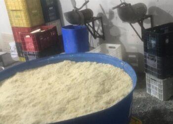 20 toneladas de queijo são apreendidas em Minas Gerais