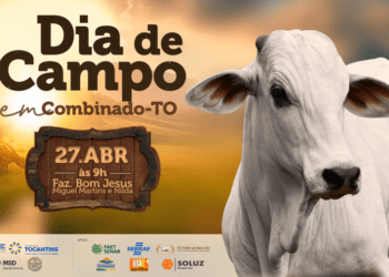 Produtores rurais de Combinado se preparam para programação do Dia de Campo