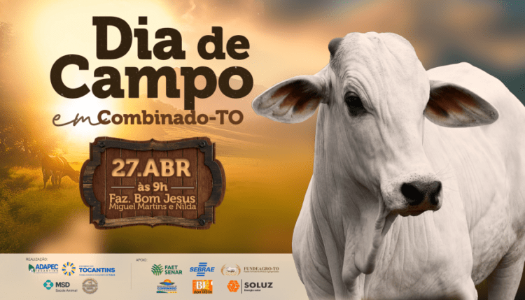 Produtores rurais de Combinado se preparam para programação do Dia de Campo