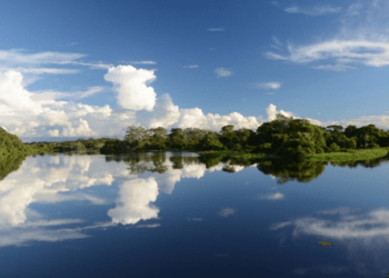 Conselho da APA Ilha do Bananal/Cantão publica lista preliminar de entidades habilitadas em edital de convocação