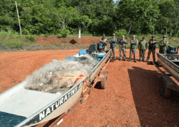 Fiscalização realizada pelo Naturatins apreende 70 kg de pescado na região norte do Tocantins