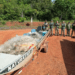 Fiscalização realizada pelo Naturatins apreende 70 kg de pescado na região norte do Tocantins