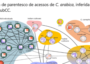 Genoma referência do café arábica é sequenciado com participação de pesquisadores brasileiros