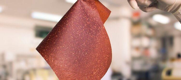 Embrapa Instrumentação e Universidade Federal de São Carlos transformam cascas de banana em filmes bioplásticos por meio de método simples