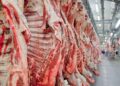 Exportações de carne bovina brasileira batem recorde, mas preços seguem em queda