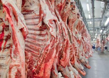 Exportações de carne bovina brasileira batem recorde, mas preços seguem em queda