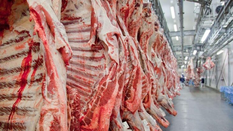 Exportações de carne bovina brasileira batem recorde, mas preços seguem em queda