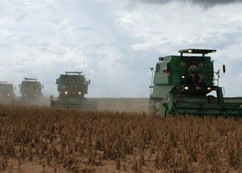 Chuvas afetam colheita de soja pelo Brasil; Região Centro-Norte permanece livre de contratempos climáticos