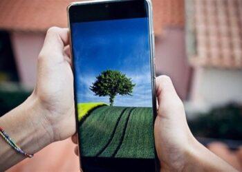 Agronegócio: Transformação digital aumenta competitividade