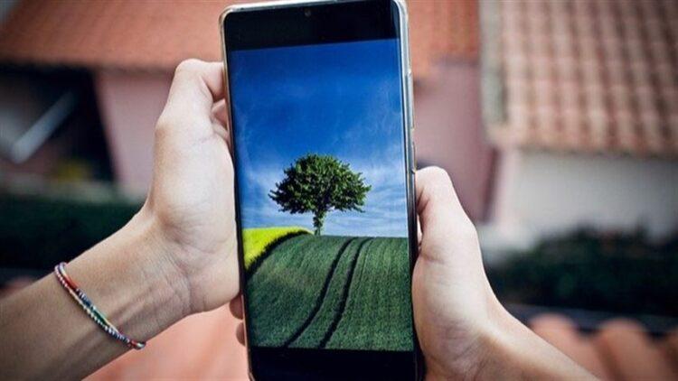 Agronegócio: Transformação digital aumenta competitividade