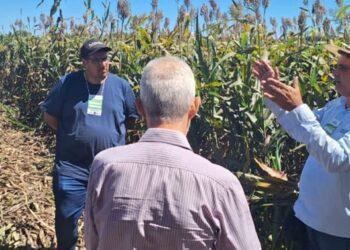 Dia de campo sobre práticas sustentáveis na reforma de pastagem para produção de silagem é realizado no Tocantins