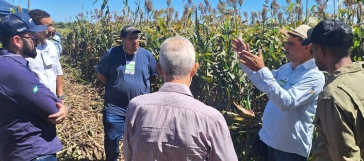 Dia de campo sobre práticas sustentáveis na reforma de pastagem para produção de silagem é realizado no Tocantins
