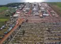 Frísia Cooperativa Agroindustrial confirma presença na 24ª Agrotins