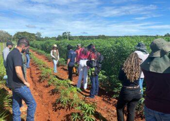 Com oferta de curso de Engenharia Agronômica, estão abertas as inscrições para o Vestibular 2024/2 da Unitins