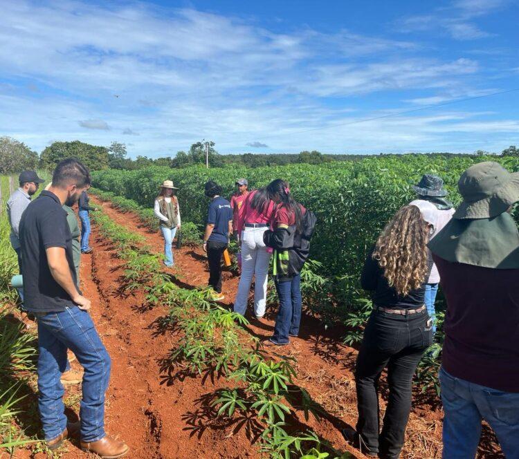 Com oferta de curso de Engenharia Agronômica, estão abertas as inscrições para o Vestibular 2024/2 da Unitins