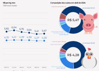 Custos de produção de frangos de corte e de suínos têm leve alta em abril