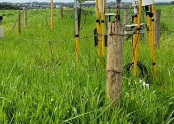 Parceria avança na redução de emissões de gases de efeito estufa no setor agropecuário