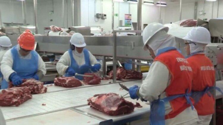 JBS Brasil anuncia a abertura de 4.500 novas oportunidades de emprego pelo país; Confira os detalhes