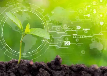 Programa europeu está com inscrições abertas para produtores receberem mentoria de propriedade intelectual