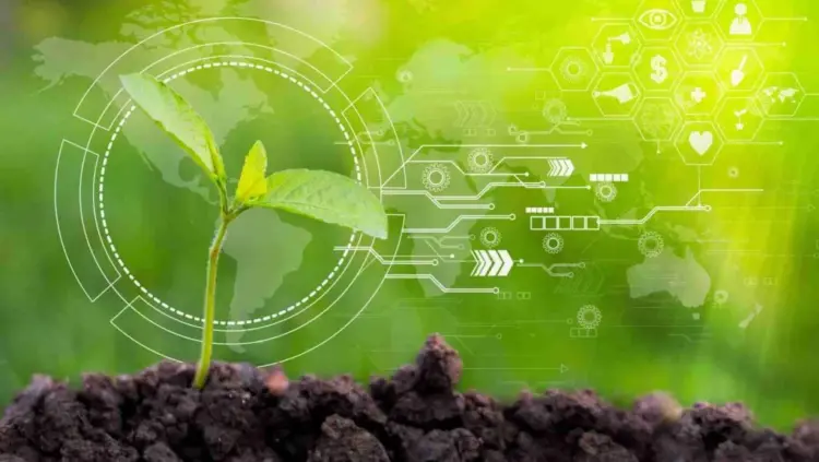 Programa europeu está com inscrições abertas para produtores receberem mentoria de propriedade intelectual