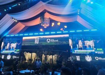 Leilão Fazenda Terra Prometida supera próprio recorde ao movimentar R$ 71 milhões no Tocantins