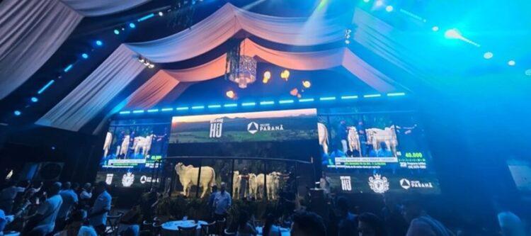 Leilão Fazenda Terra Prometida supera próprio recorde ao movimentar R$ 71 milhões no Tocantins