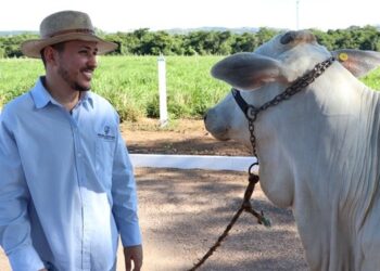 Nelore Monte Sião traz ao estado Jade, vaca milionária para melhoramento genético no Estado
