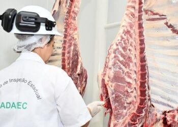 Com capacidade de abate de 120 animais/dia, frigorífico em Miranorte recebe autorização da Adapec para iniciar atividades