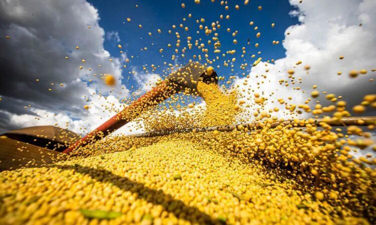 China importa 208 mil toneladas de soja estadunidense após mudança fiscal no Brasil