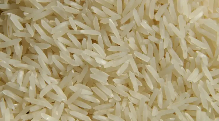 CNA VAI AO SUPREMO CONTRA IMPORTAÇÃO DE ARROZ