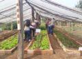 AL aprova Projeto de Lei que institui a Política Estadual “Escola Amiga do Agro”