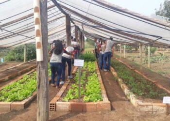 AL aprova Projeto de Lei que institui a Política Estadual “Escola Amiga do Agro”