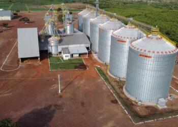 Cooperativa Frísia completa oito anos de atuação no Tocantins