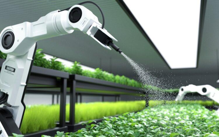Inteligência Artificial revoluciona o agronegócio com inovações e investimentos em destaque