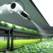 Inteligência Artificial revoluciona o agronegócio com inovações e investimentos em destaque