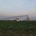 Irrigação é a segurança da produção aos agricultores do MATOPIBA