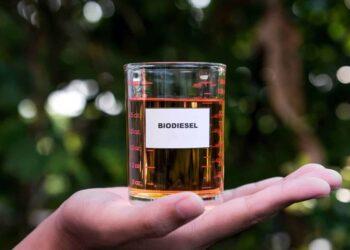 Selo amplia presença da agricultura familiar na produção de biodiesel