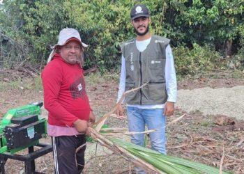 Silagem de sorgo e suporte do Senar revolucionam práticas agrícolas em fazenda de Araguatins
