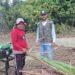 Silagem de sorgo e suporte do Senar revolucionam práticas agrícolas em fazenda de Araguatins