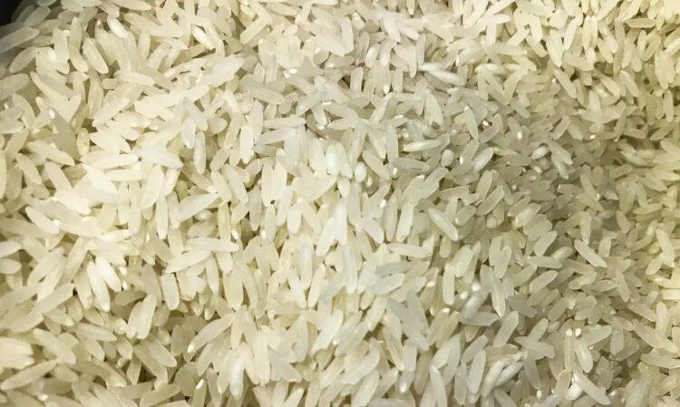 Conab solicita investigação sobre fatos relacionados ao leilão de arroz
