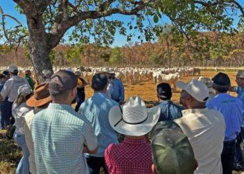 Rota da Pecuária encerra com apresentação do Plano de Agricultura de Baixa Emissão de Carbono no Tocantins