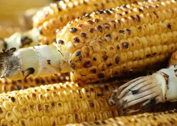 Mês Junino: Celebrações impulsionam agricultura e gera crescimento