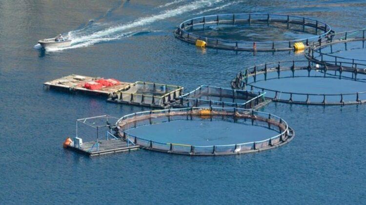 Concessão de águas da União em Tocantins impulsiona aquicultura no Estado